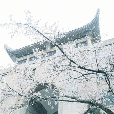 北京延庆突降冰雹似下雪